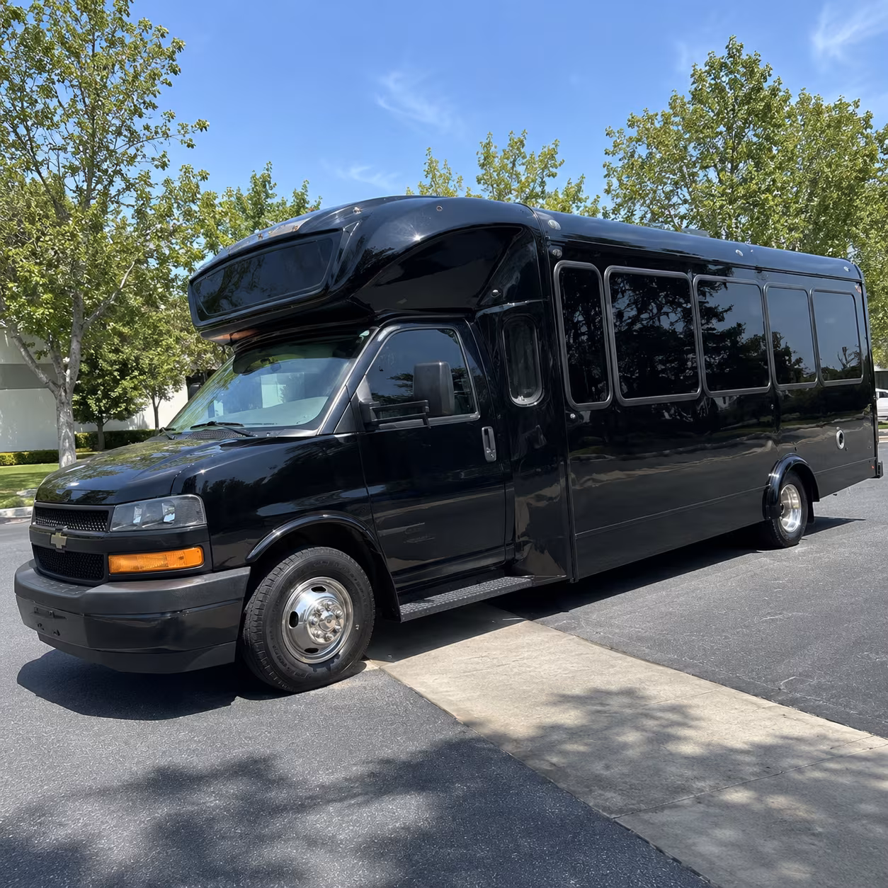 mckinney 15 passenger party bus