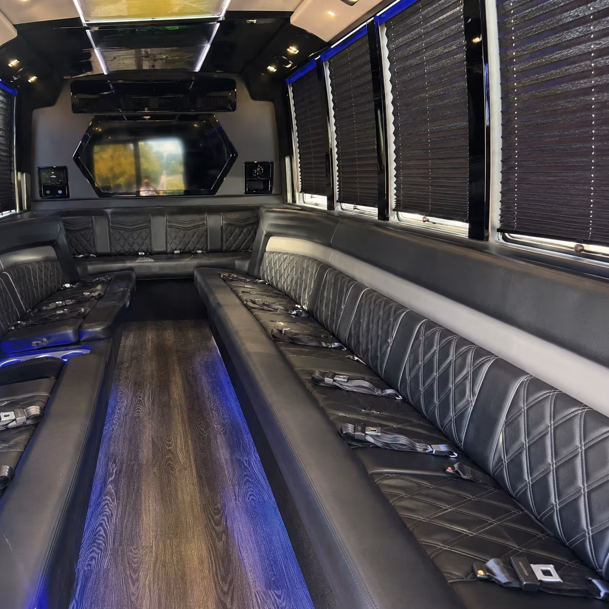 mckinney birthday party bus rental